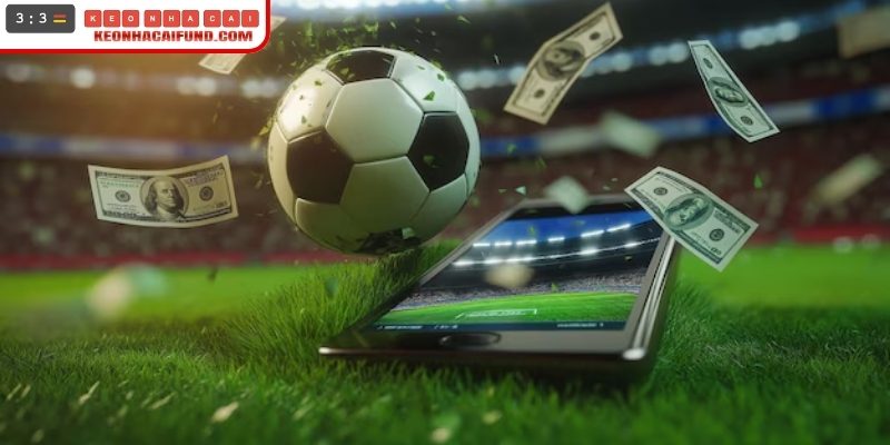 Chiến lược vào cược hiệu quả theo chuyên gia